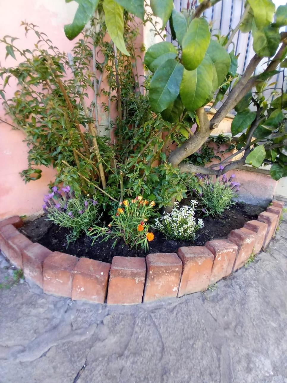צ'לה ליגורה Agriturismo Cele מראה חיצוני תמונה