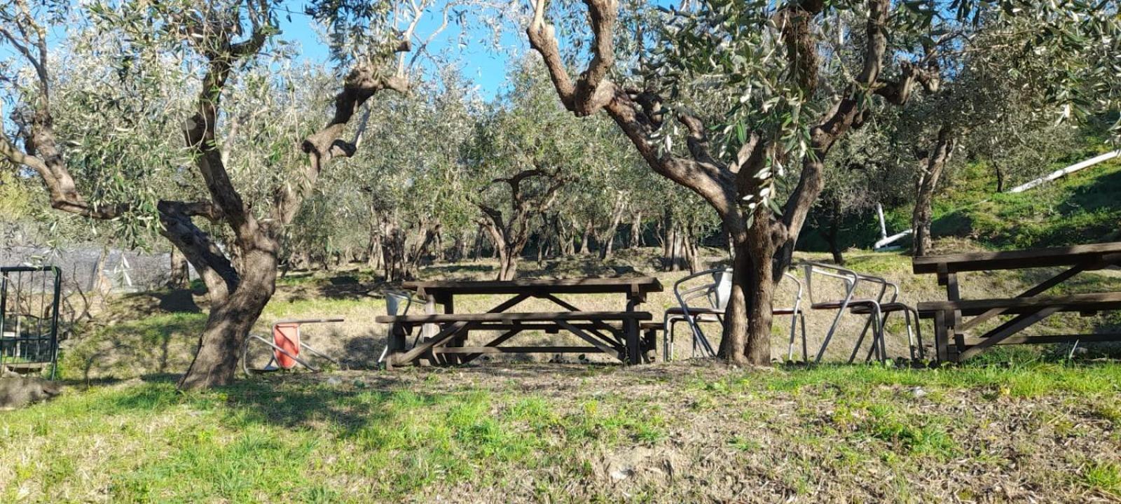צ'לה ליגורה Agriturismo Cele מראה חיצוני תמונה