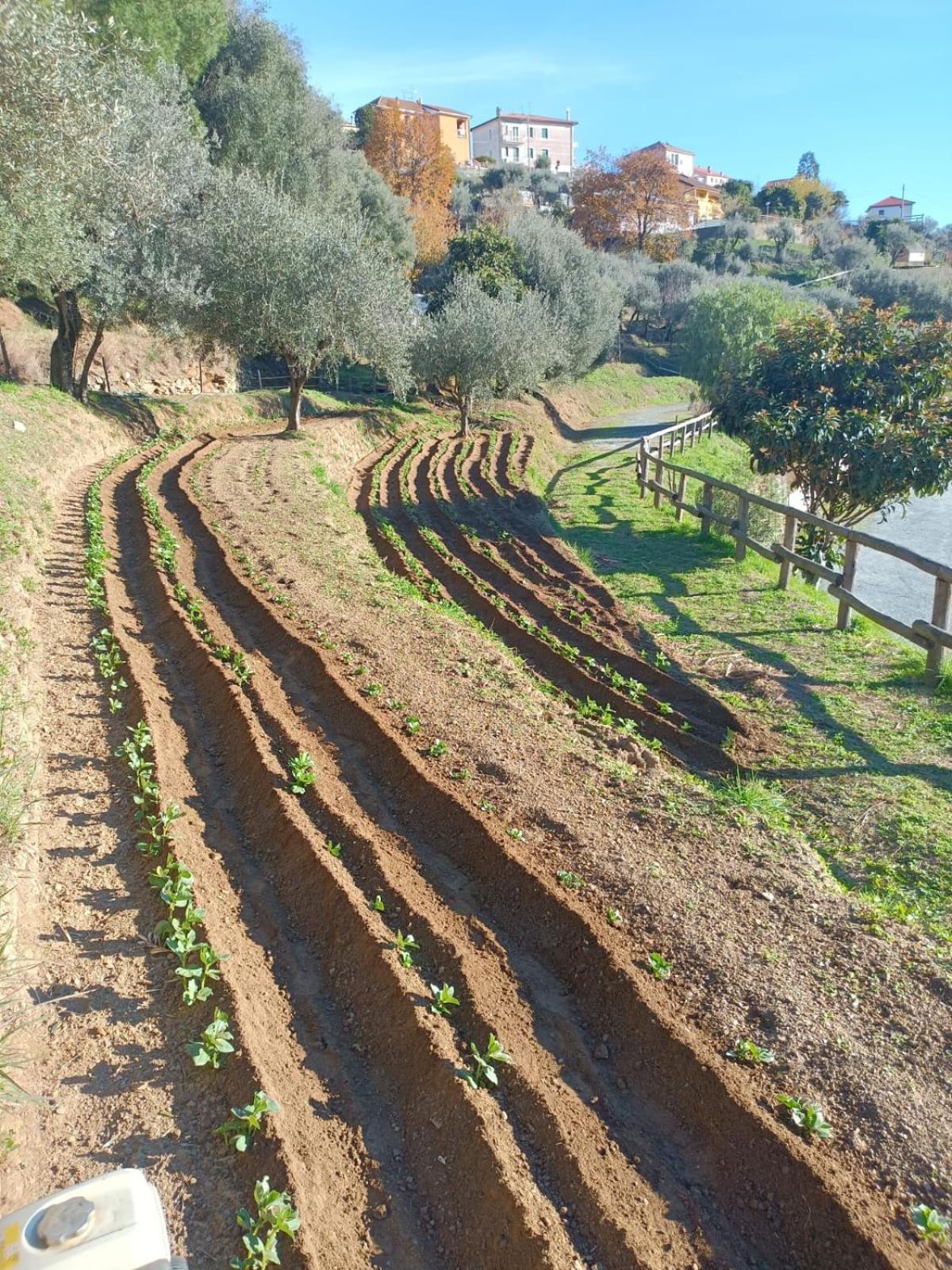 צ'לה ליגורה Agriturismo Cele מראה חיצוני תמונה